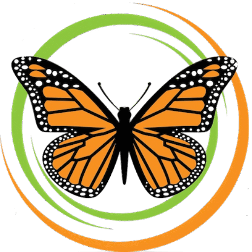 https://transparentpg.org/wp-content/uploads/2025/05/cropped-Transparent-PG-Logo-No-Text-e1747499520910.png